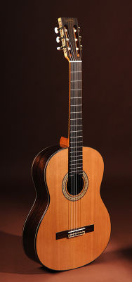 SigmaGuitars CR-6