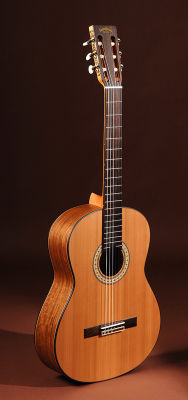 SigmaGuitars CO-6M 