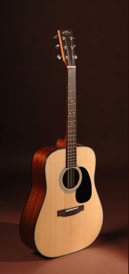 SigmaGuitars DM-1ST 