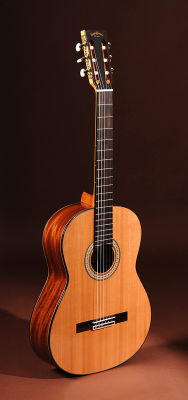SigmaGuitars CM-6 