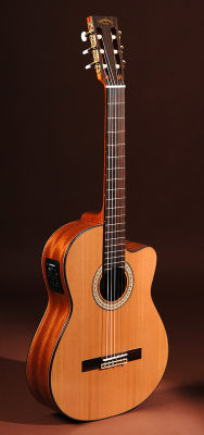 SigmaGuitars CMC-6E 