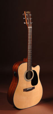 SIgmaGuitars DMC-1ST