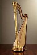 Harfa Victor Salvi Iris